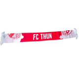 Winter Fanschal - Mir si zrügg