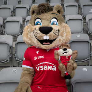 FC Thun Mini-Münggu