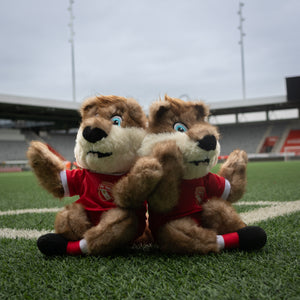 FC Thun Mini-Münggu