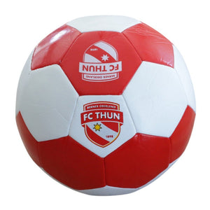 FC Thun Fussball Gr. 5