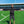 FC Thun Meisterschal Schwarz/Gold